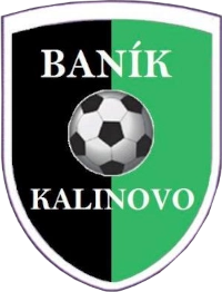 Logo domácich
